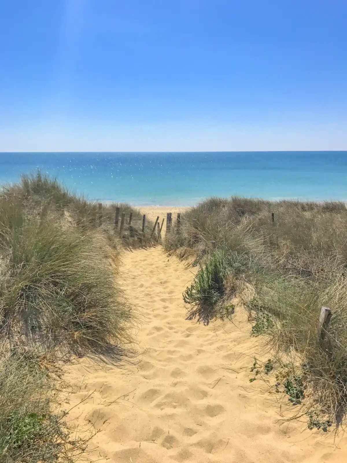 beaches camping ile de re